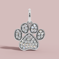 The Cat Paw 925 Pure Silver Charm Necklace My Store